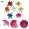 Christmas Decorations Glitter Flowers Flower Royal Blue 14cm 5pcs Beautiful Ornament Bling Brighten Up Bronze Create Atmosphere