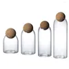 Storage Bottles Transparent Glass Seasoning Teapot Tank Bottle Home Decoration Food Container Kitchen Tool W/Ball Cork