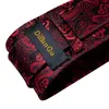 Corbatas de lazo con diseño de Cachemira roja para hombre, anillo de lujo, gemelos cuadrados de bolsillo, tachuela, regalo para hombre, corbata de fiesta de negocios, DiBanGu