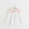 Robe princesse en dentelle pour filles, tenue de fête d'anniversaire, motif Floral, en Tulle, avec nœud, pour baptême, mariage, naissance