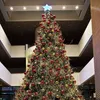 Décorations de Noël 4cm6cm24pcs boules décorations d'ornement pour la maison arbre suspendu boule de boule nouvel an Navidad fête décor fournitures Y2209