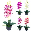 Dekorative Blumen, bunt, 1 Set, bezaubernder realistischer künstlicher Topf, leichte Simulation, Bonsai-Orchidee, Partyzubehör