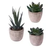 Flores decorativas OUNONA 3pcs Faux Succulent Artificial Fake Simulation Plants With Pots