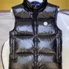 Giubbotti da uomo designer giubbotto da uomo classico collare a quadri bianca anatra badge ricamato coppie stesso stile senza maniche autunno e giacca casual invernale