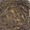 Other Festive Party Supplies 8 25cm Nature Bird Nest Easter Decoration DIY Handmade Craft Birds for Home Garden 220922