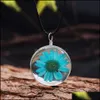 Pendentif Colliers Vente Transparent Fleur Séchée Verre Pendentif En Cuir Collier Pour Les Femmes Fait Avec Amour Rose Bleu Longue Carte-Cadeau Goutte Dhobn