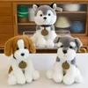 2022 Animali di peluche Nuovo cartone animato Simpatico cane da 25 cm Peluche Piccola bambola Husky Regali di compleanno per bambini C50