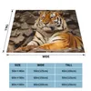 Blankets Siberian Tiger Fleece Throw Blanket Animal Lovers For Bed Bedroom Super Soft Rug