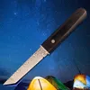 Promozione R8319 Coltello dritto da sopravvivenza VG10 Acciaio di Damasco Lama Tanto Point Palissandro con manico in acciaio Lame fisse Coltelli con fodero in legno