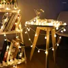 Strings Fairy Liaghts Ghirlanda LED Ball String Lights Outdoor Indoor Albero di Natale Festa Matrimonio Decorazione alimentata a batteria