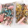 Dekorative Blumen 1 Box Mix Wunderschöne echte getrocknete natürliche Blumen für Kunsthandwerk Scrapbooking Harz Schmuckherstellung Epoxidharz-Formfüllung