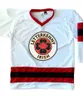 Gla Mit IRISH TV Series Letterkenny Jersey 15 POWELL 69 SHORESY 68 Shamrocks 85 NAPPY BOY 100% Stitched Ice Hockey Jerseys