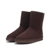 Winte Classic Mini Fur Boot Designer Snow Boot Women Men Ankle Booties Luxurious Shoe Flat Heel Warm House Shoes EU43