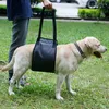 Collari per cani Borsa per imbracatura per processore assistita da animali domestici che può aiutare a sollevare il supporto per passeggiate scomode