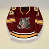 Gla MitNess Chicago Wolves Maillot de hockey AHL Personnalisé Femmes Jeunes C.J. Smith Dominik Bokk Sheldon Rempal Tom Novak David Gust Jason