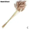 Dekorative Blumen, 30 Stück, natürliche getrocknete Blumen, Schwanzgras, Pampas-Bündel, echter Blumenstrauß für Pografie-Requisiten, Flores, DIY-Heim-Hochzeitsdekoration