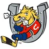 Gla Mit Barrie Colts Jersey 2 Rocky Kaura 5 Cation 16 Cook 18 Rick Hwodeky 20 Adrian Carbonara 24 Fab Ricci 32 Smith 44 Crombeen Hockey Jerseys