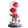 Flores decorativas rosas secas preservadas vermelhas vermelhas eternas flor eterna flor em cúpula de vidro Valentine Gift for Girlfriendshipshing