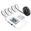 Strips Battery Powered 1M 2M 3M 4M LED Strip Light Dimmable Touch RGB SMD IP65 Waterproof Remote Ribbon Tape Stripe