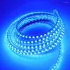 Streifen, ultraheller LED-Streifen, 220 V, 240 V, wasserdicht, weiß/blau/warm, 120 LEDs/m, SMD 2835, Dimmer, Bandband, flexibles Licht