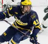 College Hockey Wears NEW College Hockey Wears 2022 NCAA Custom Michigan Wolverines Stitched Hockey Jersey 6 Jack Summers 7 Nick Blankenburg 9 Eric Ciccolini 10 M