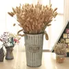 Decoratieve bloemen 30 stks natuurlijke gedroogde bloemstaart gras pampas bunk echt boeket voor pography rekwisieten flores diy home bruiloft decor