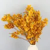 Decorative Flowers Pansy Natural Preserved Butterfly For Home Decor Plant Boho Living Room Decoration Dried Flower Dry Blumen