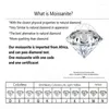 Stud￶rh￤ngen 18K Vitt guldpl￤terat diamanttest Past Totalt 2 karat D f￤rg Moissanite Snowflake Silver 925 Original smycken