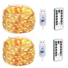 Saiten LED Lampe Kupferdraht String 5M.10M USB 5V Ferngesteuerte einstellbare Lichter blinkende Weihnachtsdekoration