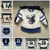 Gla mitness anpassad Manitoba Moose Hockey Jersey Ahl Simon Lundmark Evan Polei Kristian Reichel C.J. Suess Mikey Eyssimont Greg Meireles Thomas