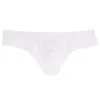 Underpants Men's Panties Sexy Lingerie Chubby Bear Large Size Underwear U-shaped Briefs Low Waist Solid Color Quick Drying