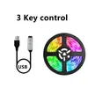 Полосы светодиодные стриптизки USB Bluetooth управление приложением RGB SMD DC5V 30 м Гибкая лампа лента для телевизионного настольного экрана