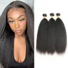 Human Hair Kinky Straight 3 Bundles 8A Indian Remy Hair Extensions for Black Women 8-26 inch