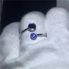 Clusterringen aanzienlijk Eeuwige Love Soild 925 Sterling Silver Ring Blue 5a Zirkon Stone CZ Betrokkenheid trouwring voor vrouwencadeau