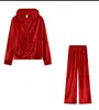 Spring Womens Tracksuits Sports Costume Daily Tops and Pantal