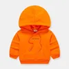 Pullover lente boys hoodies cotton cooded sport kinderen trui 4 kleuren mode herfst sweatshirt 2 7 jaar kinderen bovenkleding jassen 220924