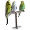 Andra fågelförsörjningar Pet Parakeet Budgie Hanging Play Toys Cage Wood Branch Stand Abborre Parrot Trähållare