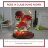 Dekorativa blommor Br￶llop Valentine Flower Rose In Glass Dome med l￤tt dekoration g￥va