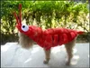 ملابس الكلاب الحيوانات الأليفة ملابس الهالوين التحول جراد البحر القطط وأزياء S Teddy Corgi الخريف الشتاء الجملة 220923