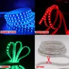 Paski RGB LED Pasek Light UE 220V-240V Waterproof 24key zdalny 60LEP/M Lina taśmowa do dekoracji domowej