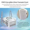 Cryolipolysis Freeze Fat Handle Slimming Equipment Freezing Fat Multifunktion Slimming Machine