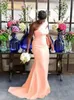 African Nigerian Latest One Shoulder Mermaid Bridesmaid Dresses 2023 Pleats Garden Country Wedding Guest Party Gowns Maif of Honor Dress Plus Size BC9852 GC0926x3