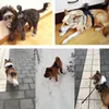 Colarinhos de cachorro buscam alça de tórax de arnês de montagem para acessórios de goprocamera