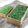 装飾的な花Diy Moss Simulatie Planten Eeuwige Leven Moss/Tuin Home Decor Muur Bloem Materiaal Mini Tuin Micro Landschap Nep Gift