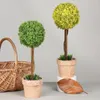 Flores decorativas Planta Artificial Bonsai En Maceta Simulación Bola Verde Escritorio Interior Balcón Paisaje Decoración De Flores Para El Hogar