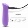 Nxy Sex Eggs Siliconen Vibratie Massage Bullet Oplaadbare Vibrerende Stick Usb Plezier Ei 1110