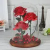 Dekorativa blommor Br￶llop Valentine Flower Rose In Glass Dome med l￤tt dekoration g￥va