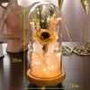 Decoratieve bloemen LED GLAS COVER Gedroogde bloem gedroogd boeket Rose Kerstmis Decoratie Valentijnsdag Gift voor vriendin