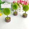 50PCS Spring Wedding Favors Round Topiary Photo Holder/Place Card Holder Garden Themed Party Decoratives Name Card Clips