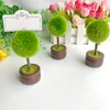 50pcs Frühlingshochzeit Geschenke runder Topiary PO Holder Place Kartenhalter Gartenmotivparty Dekorativen Nist Card Clips5750933